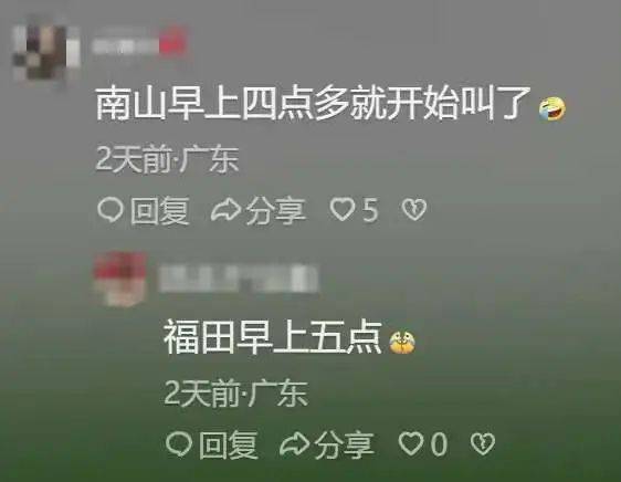 “周末想睡个懒觉都不行”<strong></p>
<p>炒币故事</strong>，有多少深圳人被这种鸟吵到神经衰弱