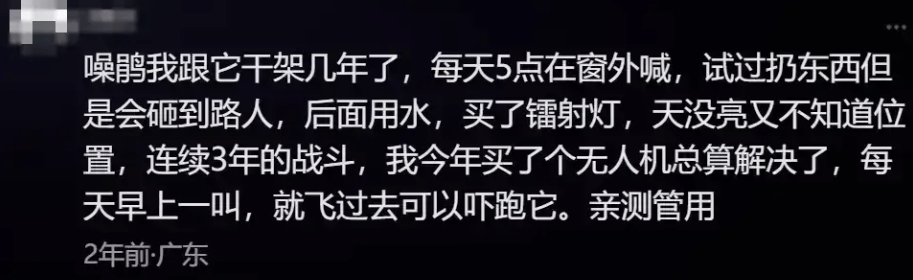 “周末想睡个懒觉都不行”<strong></p>
<p>炒币故事</strong>，有多少深圳人被这种鸟吵到神经衰弱