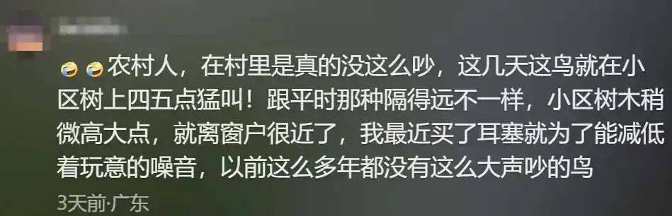 “周末想睡个懒觉都不行”<strong></p>
<p>炒币故事</strong>，有多少深圳人被这种鸟吵到神经衰弱