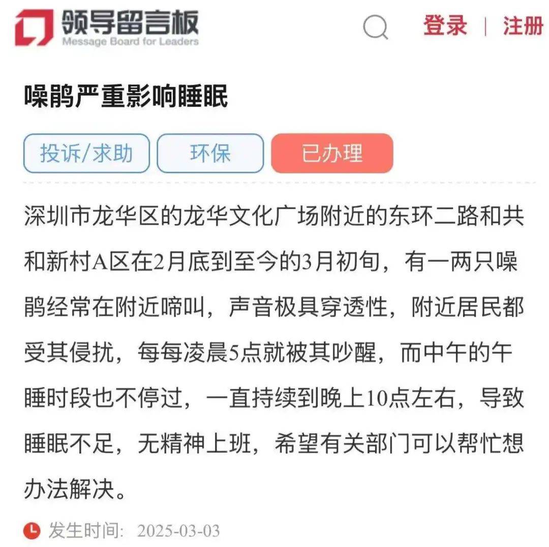 “周末想睡个懒觉都不行”<strong></p>
<p>炒币故事</strong>，有多少深圳人被这种鸟吵到神经衰弱