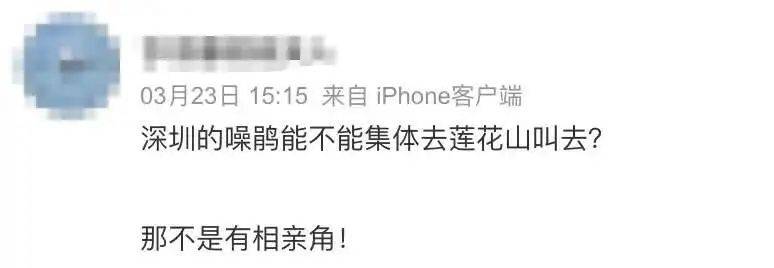 “周末想睡个懒觉都不行”<strong></p>
<p>炒币故事</strong>，有多少深圳人被这种鸟吵到神经衰弱