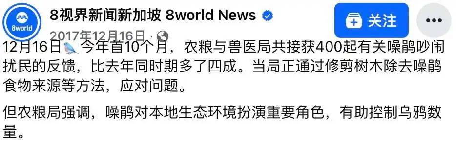 “周末想睡个懒觉都不行”<strong></p>
<p>炒币故事</strong>，有多少深圳人被这种鸟吵到神经衰弱