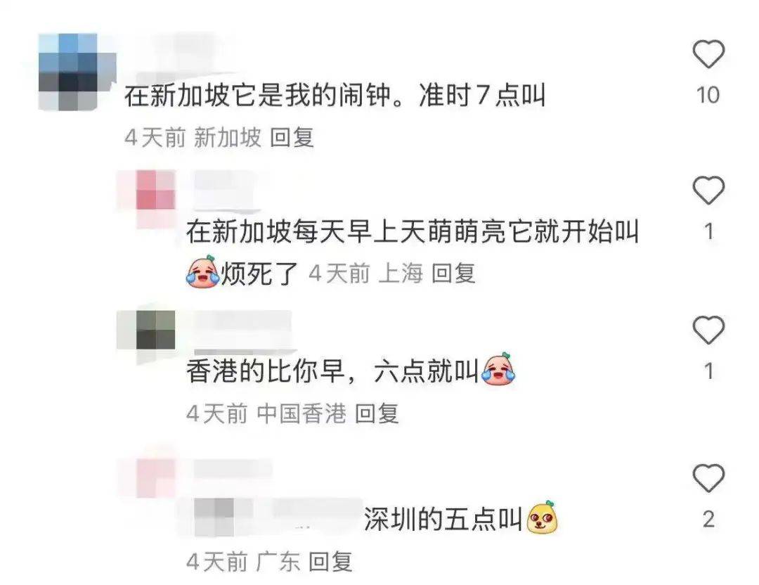 “周末想睡个懒觉都不行”<strong></p>
<p>炒币故事</strong>，有多少深圳人被这种鸟吵到神经衰弱