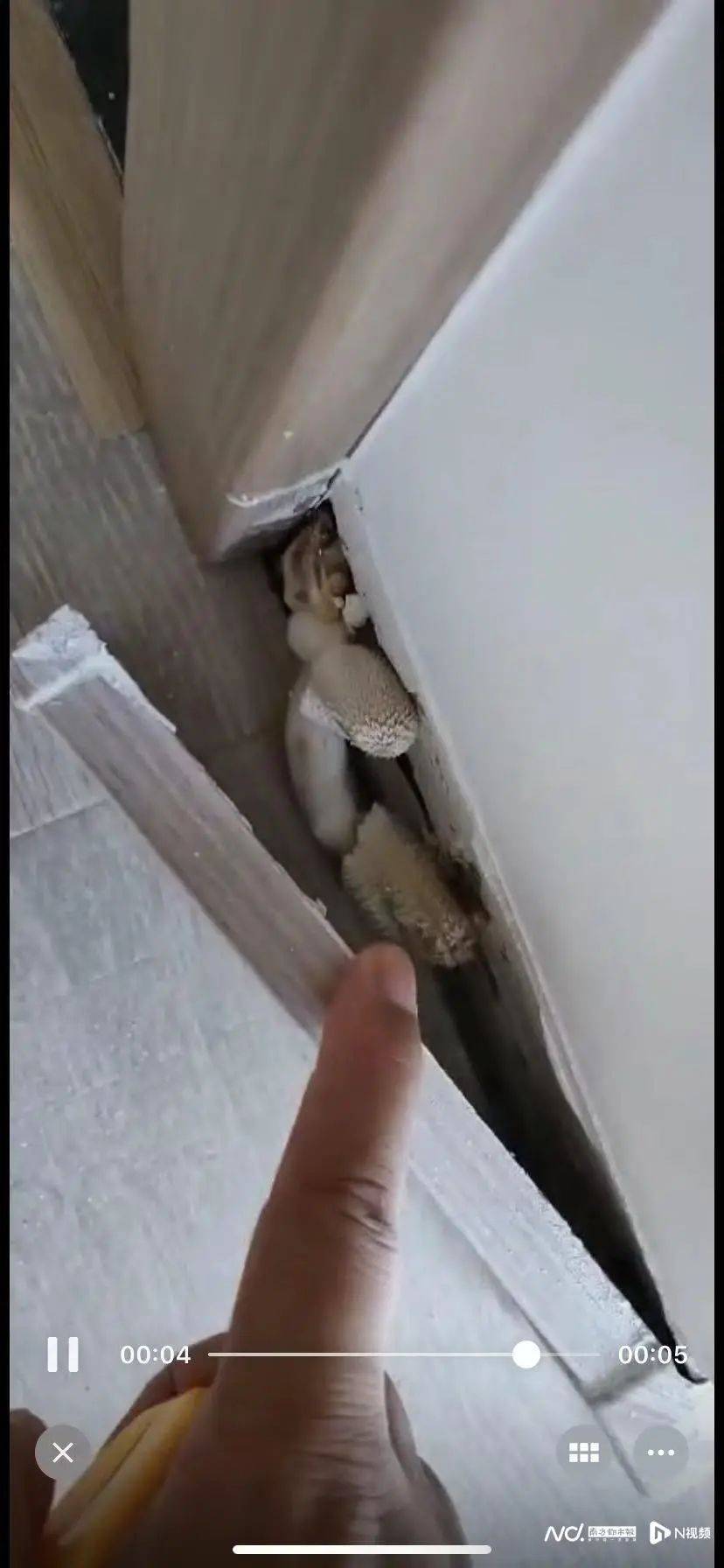 “深更半夜<strong></p>
<p>币圈成功案例</strong>，又掉一大块下来”！广东一小区业主怒了