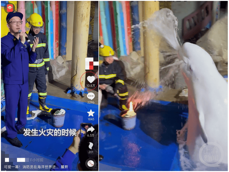 大连一海洋世界消防演练时白鲸喷水灭火<strong></p>
<p>币圈成功案例</strong>，工作人员：它智商很高，看到危险会喷水