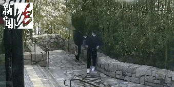 太猖狂！事发上海迪士尼<strong></p>
<p>炒币风险</strong>，7人被刑拘