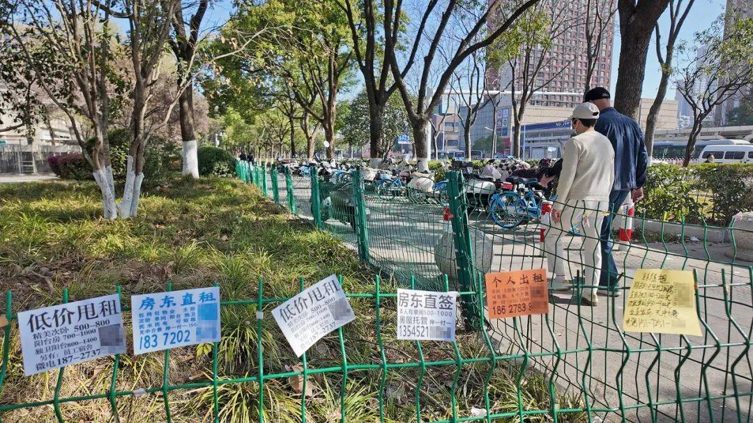 一二线城市房租普降<strong></p>
<p>炒币风险</strong>,房东主动降200留我