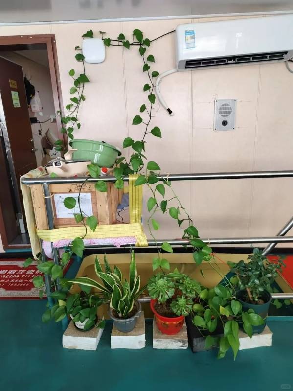 独家丨远洋渔船船长被害案嫌犯移送检方报捕<strong></p>
<p>炒币风险</strong>，船上两段视频曝光