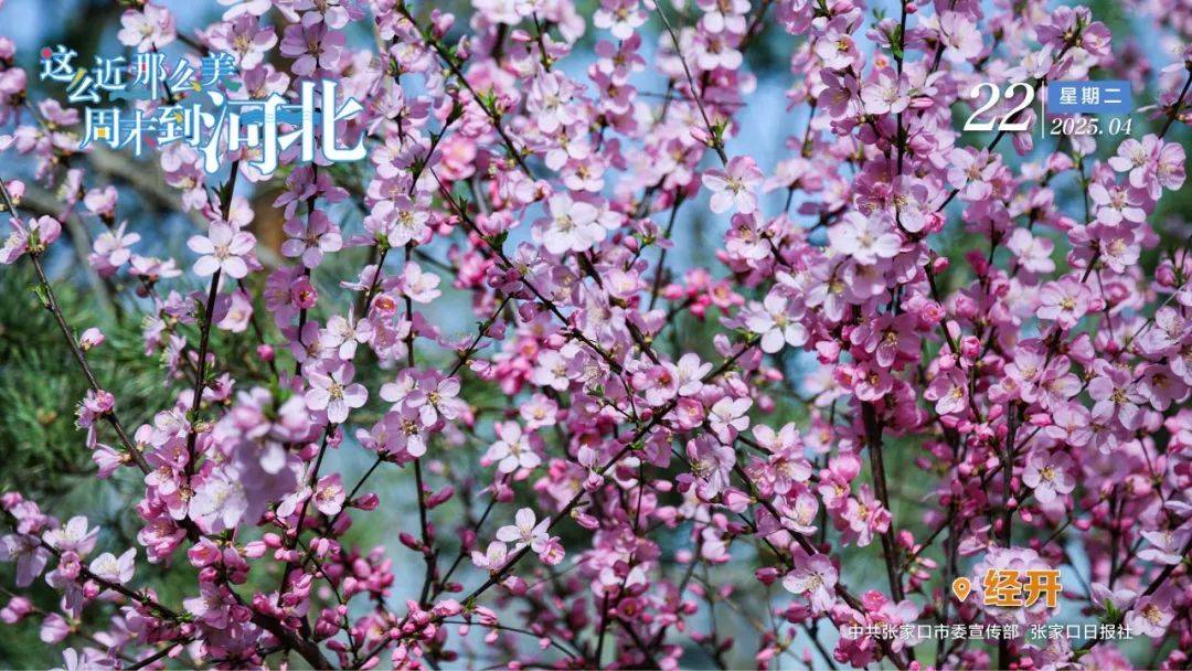 暂停使用<strong></p>
<p>炒币经验</strong>！张家口市政水务有限责任公司最新通知→