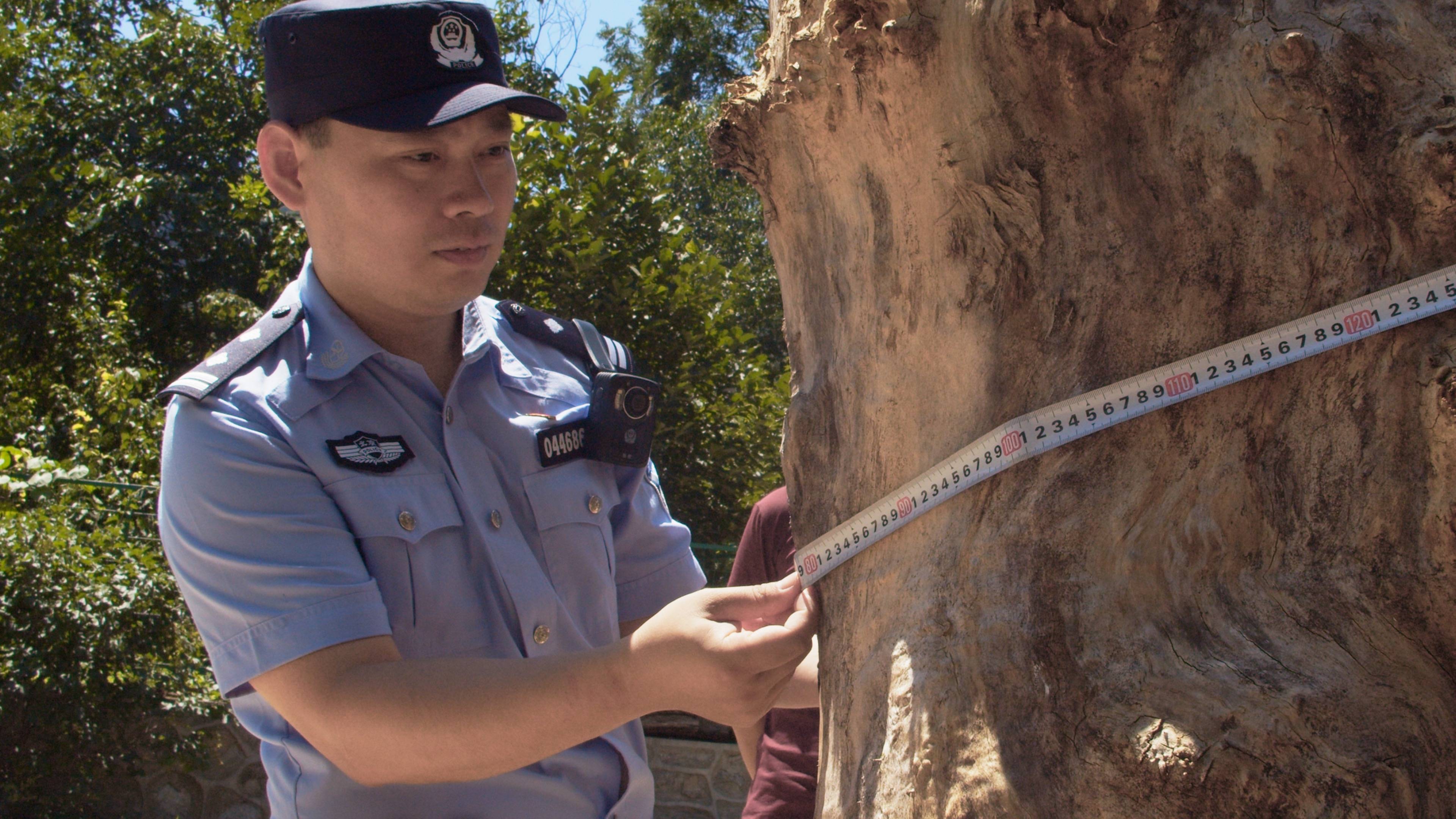 森林警察韩孟祺:乔装成驴友潜伏密林中<strong></p>
<p>今日币圈行情</strong>,抓获“粘鸟”嫌疑人