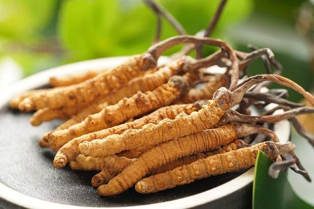 价值18万余元!男子在祁连山非法收购5632根冬虫夏草<strong></p>
<p>炒币亏惨</strong>,构成危害国家重点保护植物罪获刑