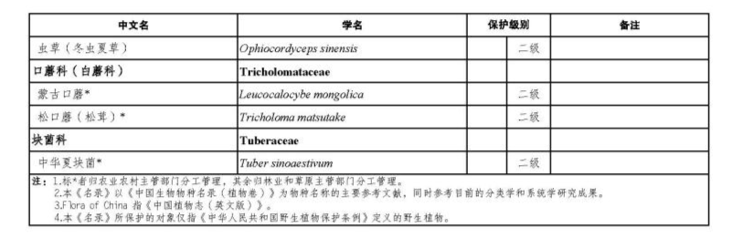 价值18万余元!男子在祁连山非法收购5632根冬虫夏草<strong></p>
<p>炒币亏惨</strong>,构成危害国家重点保护植物罪获刑