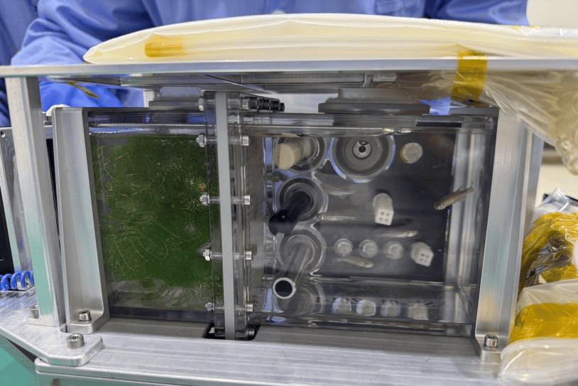 神舟二十号载人飞船发射升空<strong></p>
<p>炒币亏惨</strong>!广东一高校“鱼航员”上天了