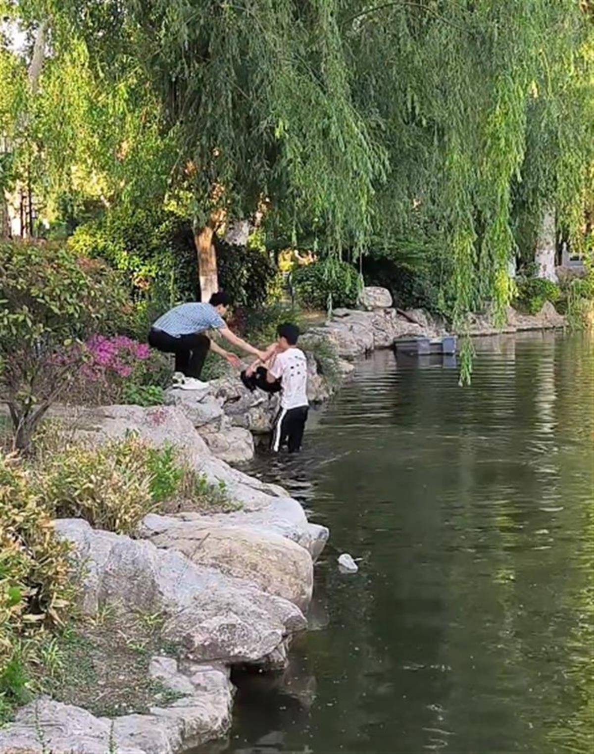 徐州一女童落水被救起<strong></p>
<p>花链币</strong>,家长赶来先责怪孩子,救人者:家长当时吓坏了,后来已道谢