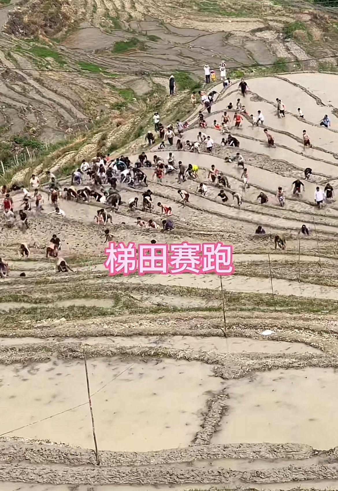 桂林一景区回应爬梯田比赛前两名半坡起跑作弊：游客赛前试爬后躺半坡<strong></p>
<p>币市k线图</strong>，工作人员没发现