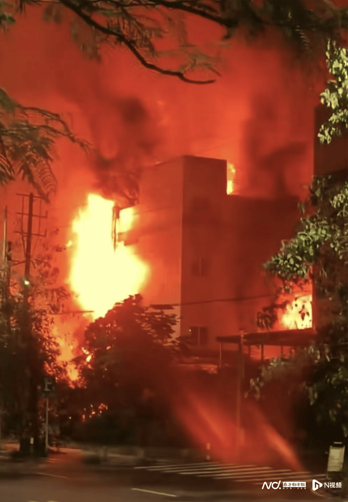 昨夜<strong></p>
<p>专业炒币网</strong>,中山一公司突发大火, 事发时火光冲天