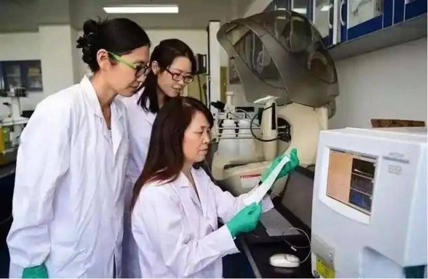 深挖 | “西北大学副校长范代娣成陕西首富”系乌龙<strong></p>
<p>炒币买卖</strong>,但她的人生如同开挂