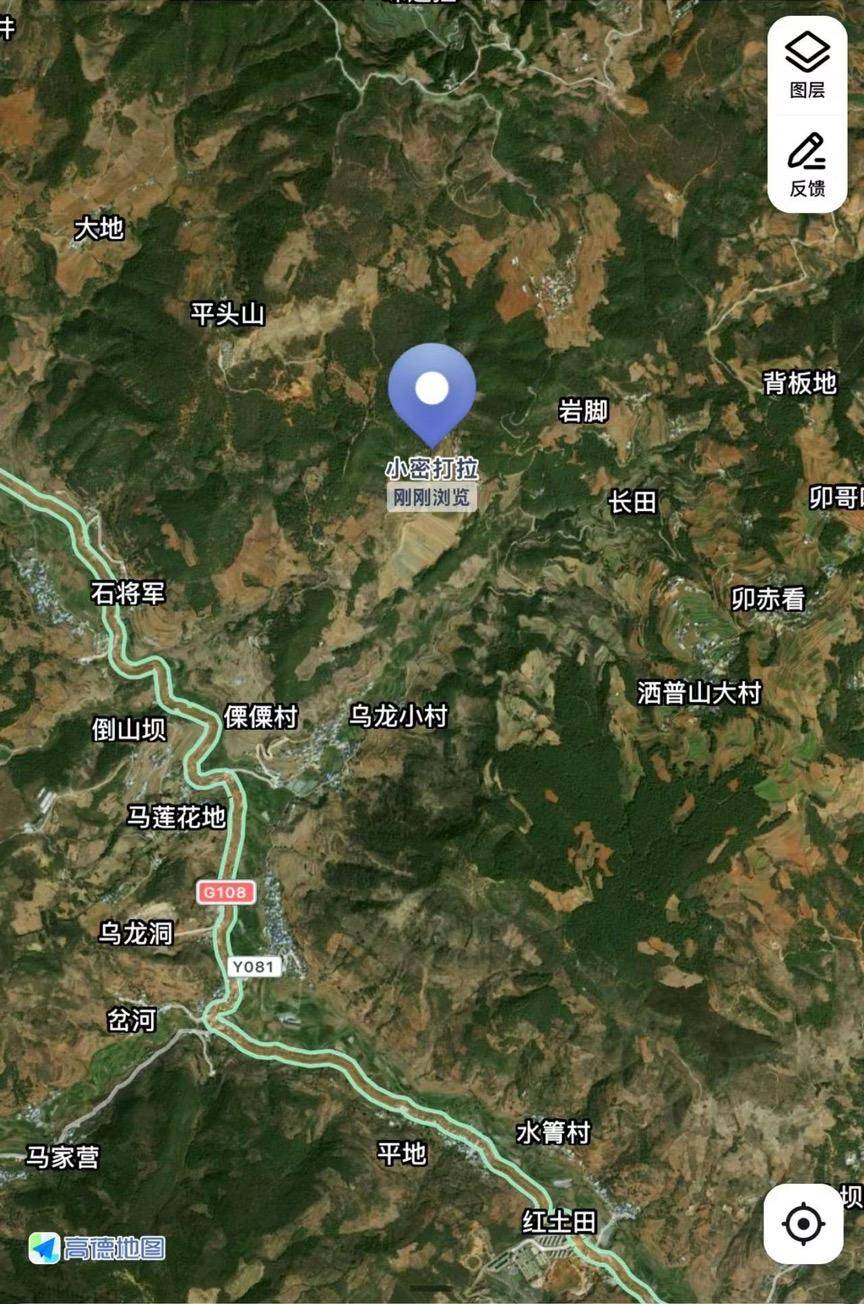 云南2名母亲带3娃登山半夜迷路：其中一名9岁儿童受伤意识不清 消防连夜救援