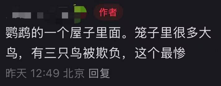 北京动物园一小鹦鹉被拍到头顶光秃皮肤裸露疑似抑郁<strong></p>
<p>炒币买卖</strong>,网友直呼心疼,园方回应