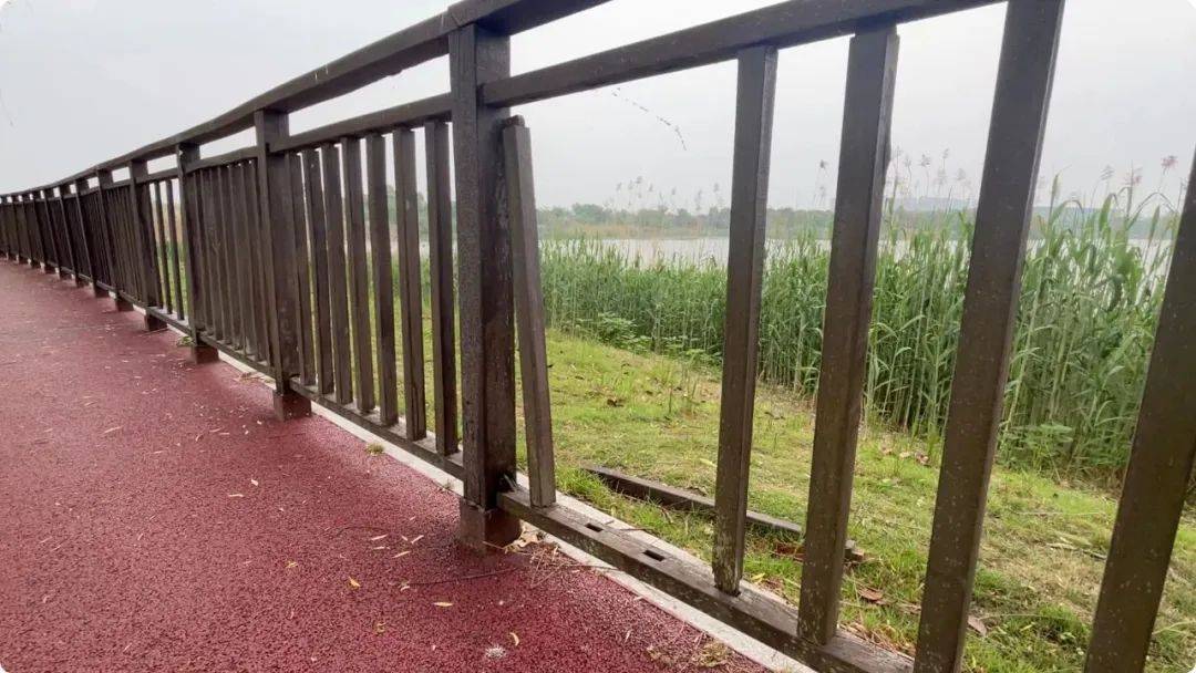 南京市市长陈之常走进直播间<strong></p>
<p>炒币买卖</strong>,现场责令核查燃气二次收费