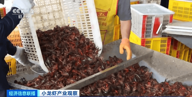 价格暴跌近50%<strong></p>
<p>币圈电报</strong>!“接下来还会降”!青岛正大量上市……