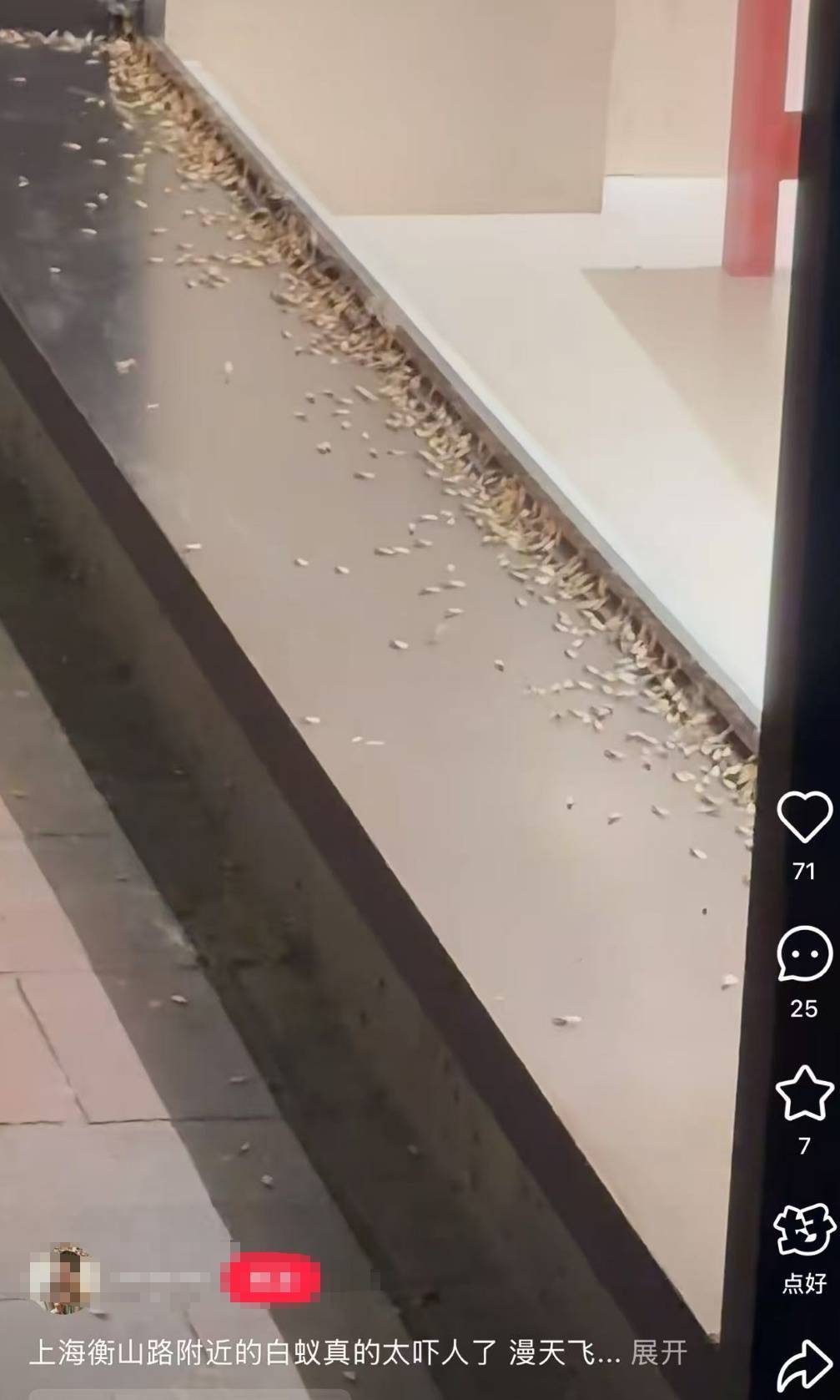 紧急提醒:瞬间爆发!上海市民崩溃:密密麻麻<strong></p>
<p>币价行情</strong>,蠕蠕爬行...“梧桐区”已开始战斗,白蚁或提前分飞