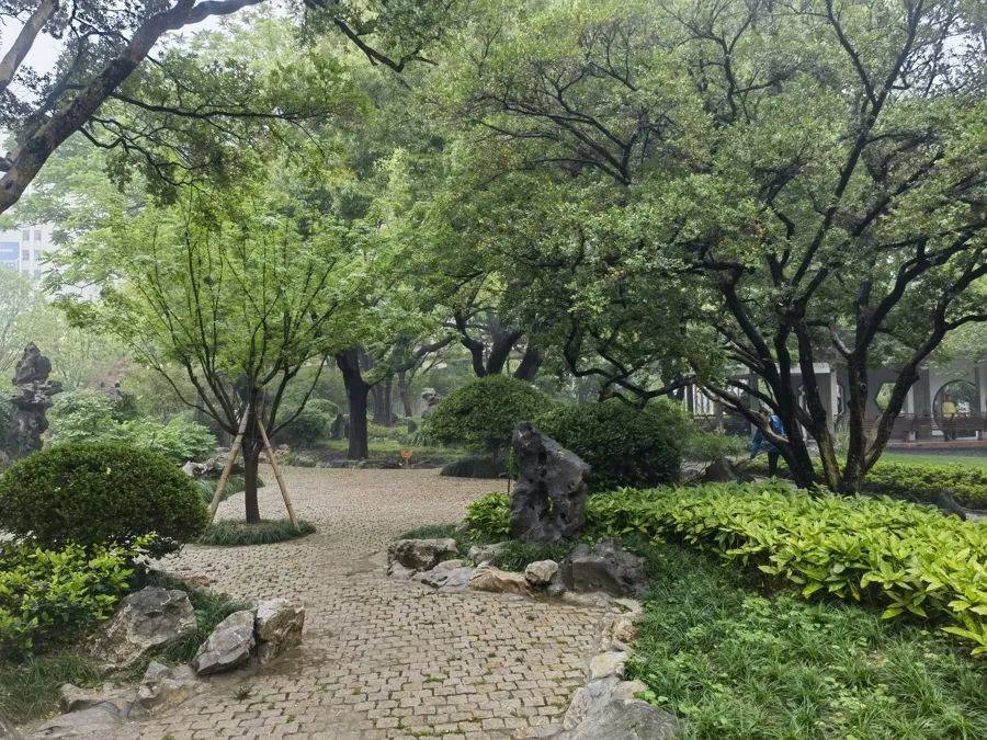 紧急提醒:瞬间爆发!上海市民崩溃:密密麻麻<strong></p>
<p>币价行情</strong>,蠕蠕爬行...“梧桐区”已开始战斗,白蚁或提前分飞