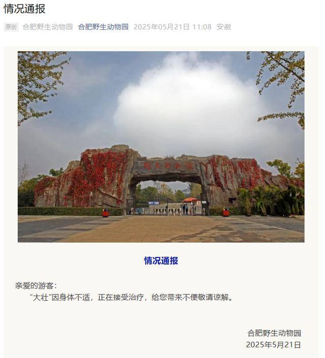 网红猴“大壮”突然离世<strong></p>
<p>炒币新手学习</strong>！曾因方脸“丑”出圈