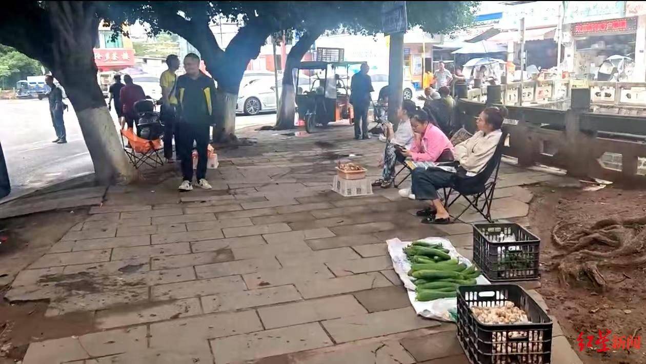 “天价”鸡枞调查：最贵卖到1800元/公斤！雨水少致产量低<strong></p>
<p>炒币策略</strong>，多地价高客少