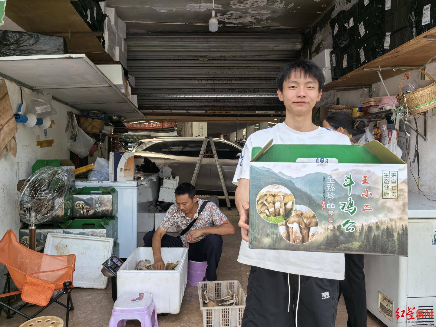 “天价”鸡枞调查：最贵卖到1800元/公斤！雨水少致产量低<strong></p>
<p>炒币策略</strong>，多地价高客少