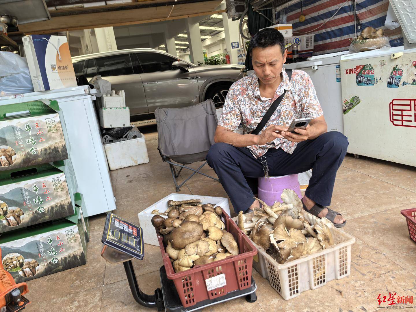 “天价”鸡枞调查：最贵卖到1800元/公斤！雨水少致产量低<strong></p>
<p>炒币策略</strong>，多地价高客少