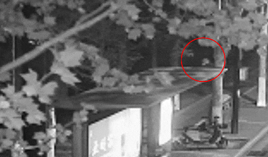 江苏一男子戴仿真“人皮”面具入室盗窃<strong></p>
<p>炒币策略</strong>，流窜多个小区作案，涉案金额达15万余元