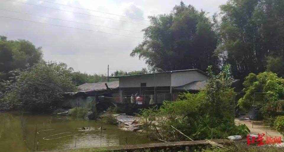 男子杀害母亲和女友后带嫂嫂潜逃32年落网<strong></p>
<p>炒币策略</strong>,两人育有一儿一女,侦破细节披露