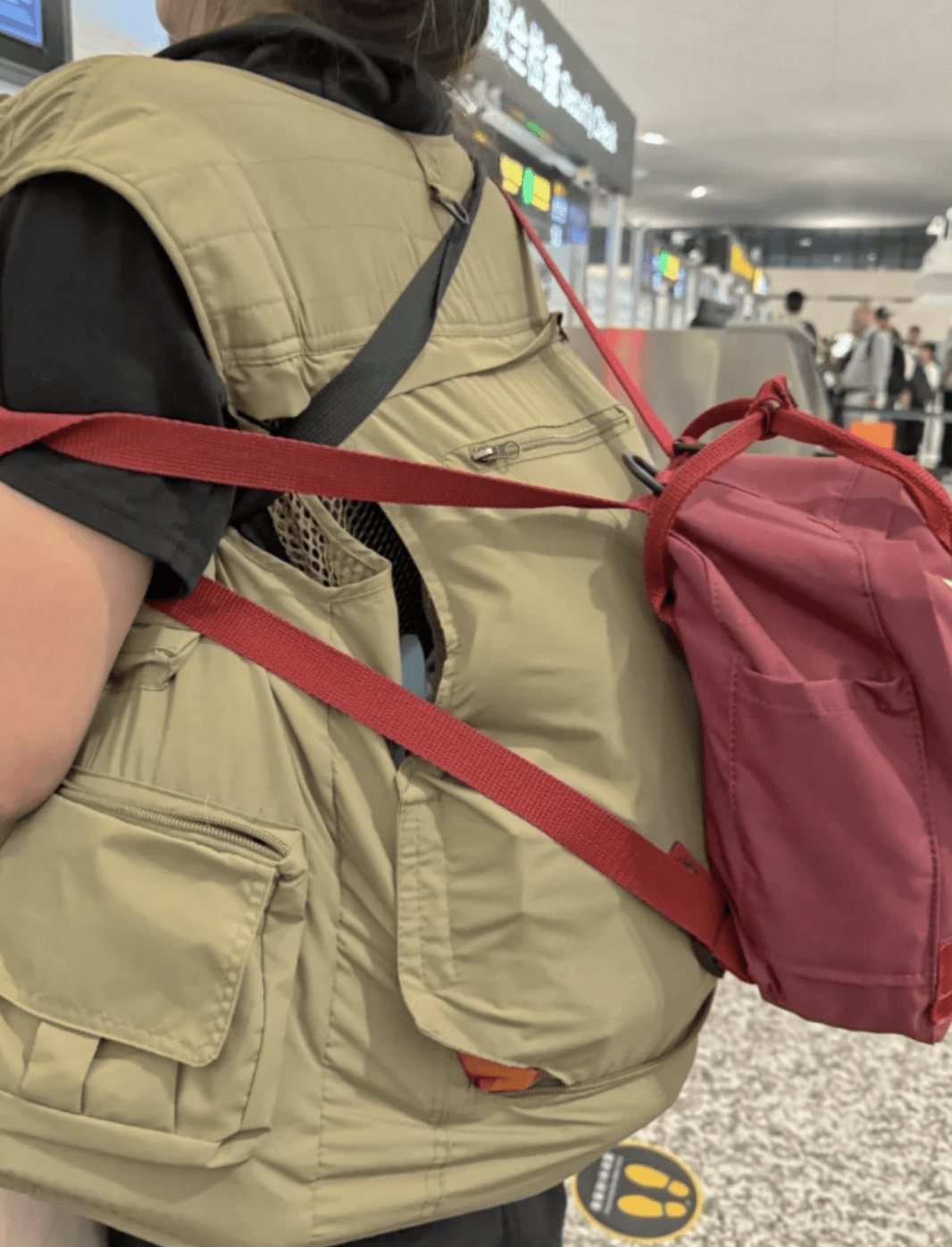 “坐飞机发现旁边放着冷链海鲜”<strong></p>
<p>炒币策略</strong>，航空公司兼职送货给出差人整破防了