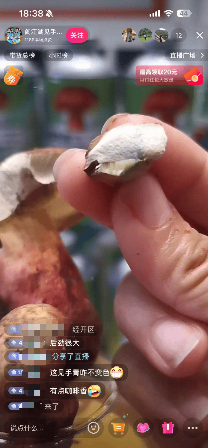 10万瓶一周抢售一空!云南“见手青啤酒”卖疯<strong></p>
<p>炒币策略</strong>,背后代工厂竟欠债400万?