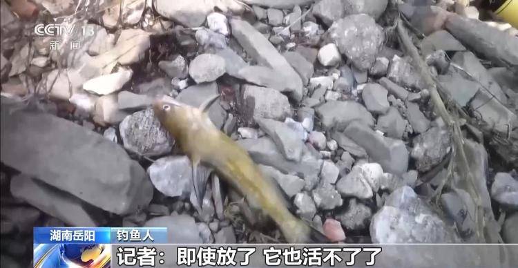 保护区里的“疯狂垂钓”屡禁不止<strong></p>
<p>炒币策略</strong>!记者调查