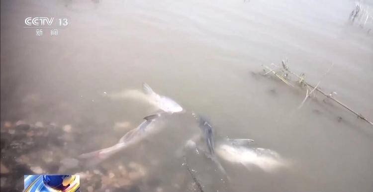 保护区里的“疯狂垂钓”屡禁不止<strong></p>
<p>炒币策略</strong>!记者调查