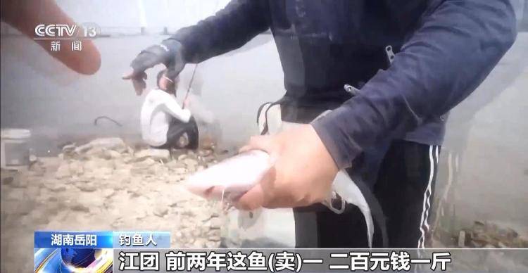 保护区里的“疯狂垂钓”屡禁不止<strong></p>
<p>炒币策略</strong>!记者调查