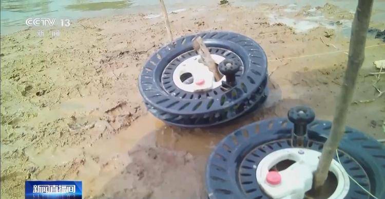 保护区里的“疯狂垂钓”屡禁不止<strong></p>
<p>炒币策略</strong>!记者调查