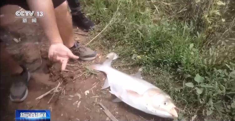 保护区里的“疯狂垂钓”屡禁不止<strong></p>
<p>炒币策略</strong>!记者调查