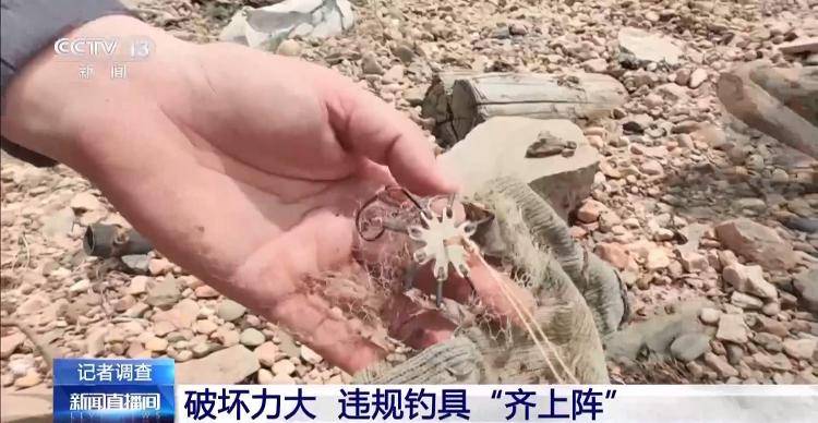 保护区里的“疯狂垂钓”屡禁不止<strong></p>
<p>炒币策略</strong>!记者调查