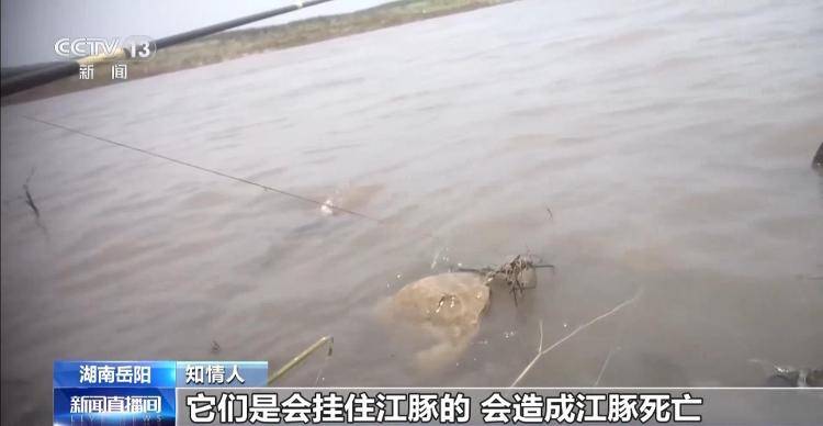 保护区里的“疯狂垂钓”屡禁不止<strong></p>
<p>炒币策略</strong>!记者调查