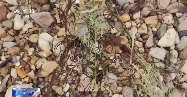 保护区里的“疯狂垂钓”屡禁不止<strong></p>
<p>炒币策略</strong>!记者调查