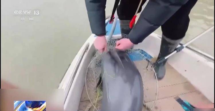 保护区里的“疯狂垂钓”屡禁不止<strong></p>
<p>炒币策略</strong>!记者调查