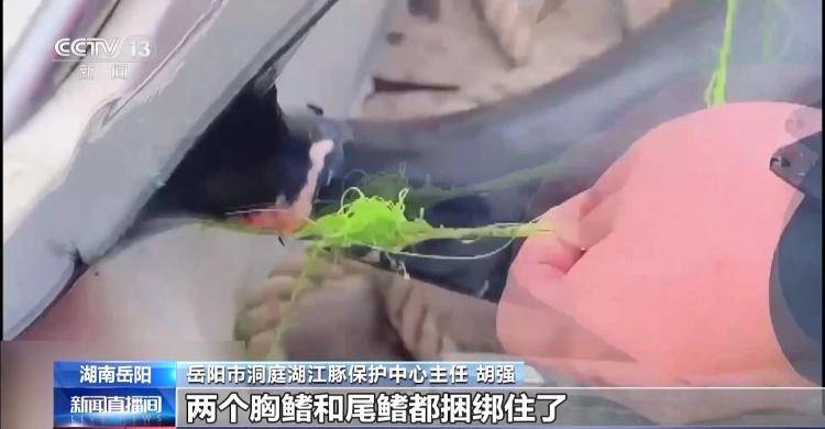 保护区里的“疯狂垂钓”屡禁不止<strong></p>
<p>炒币策略</strong>!记者调查