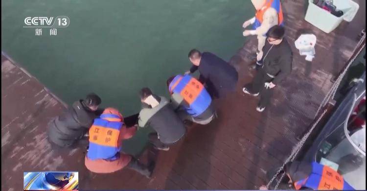 保护区里的“疯狂垂钓”屡禁不止<strong></p>
<p>炒币策略</strong>!记者调查