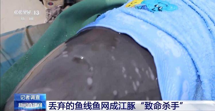 保护区里的“疯狂垂钓”屡禁不止<strong></p>
<p>炒币策略</strong>!记者调查