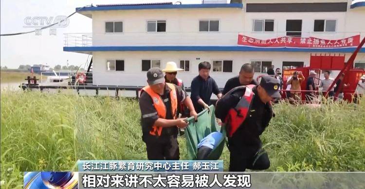 保护区里的“疯狂垂钓”屡禁不止<strong></p>
<p>炒币策略</strong>!记者调查