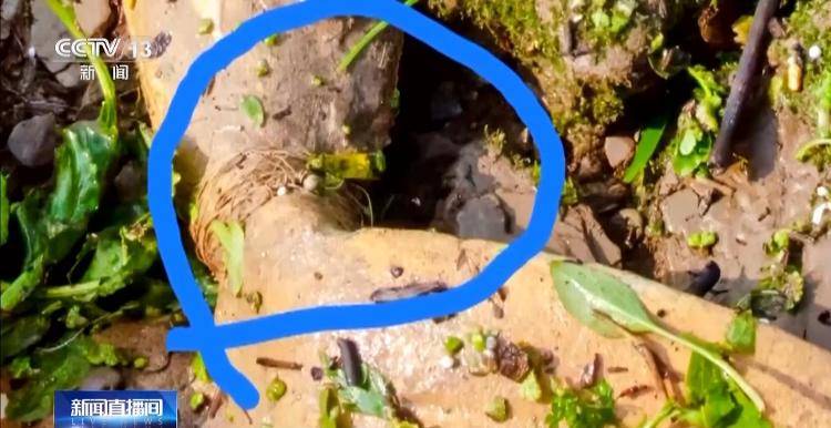 保护区里的“疯狂垂钓”屡禁不止<strong></p>
<p>炒币策略</strong>!记者调查