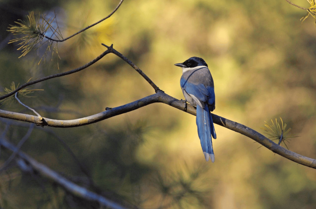 张瑜：我们所居住的北京<strong></p>
<p>添加提币地址</strong>，是亲近自然的最佳场所